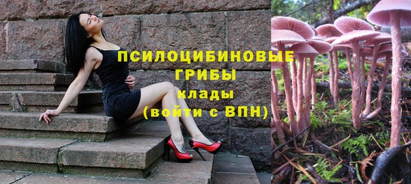 a pvp Гусев