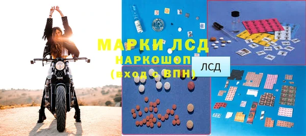 индика Горняк