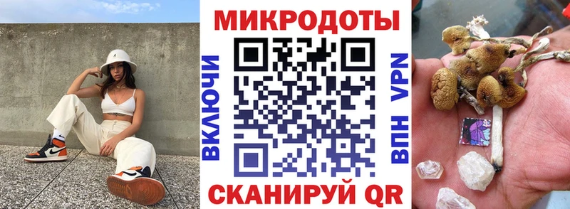 Псилоцибиновые грибы мицелий  Данков 
