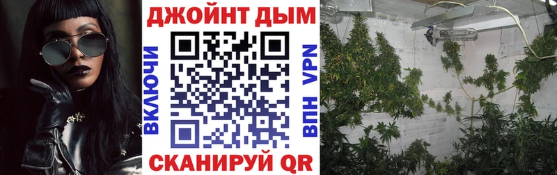Канабис план где продают Данков